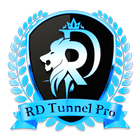 RD Tunnel Pro加速器app下载